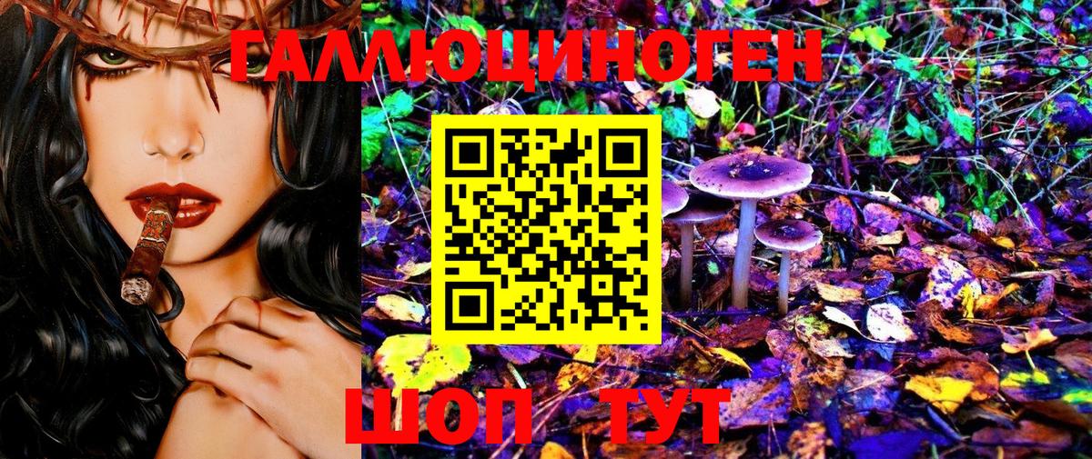 Электросталь  Псилоцибиновые грибы MAGIC MUSHROOMS  Вход с VPN 